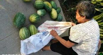 武义吃瓜最新事件爆料,最新爆料揭秘幕后真相