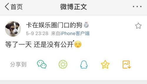 爆料吃瓜的背景音乐,揭秘热门事件背后的音乐密码